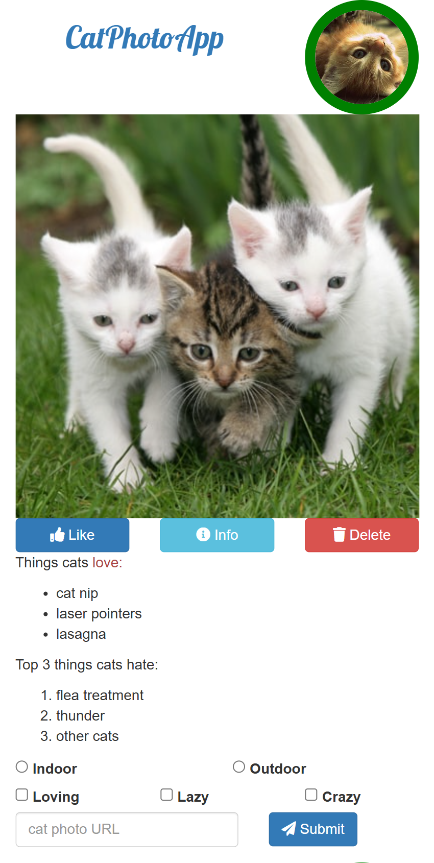 Cat Photo App Project Screenshot.